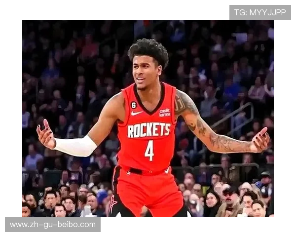 火箭队2020年排名榜及赛季表现回顾