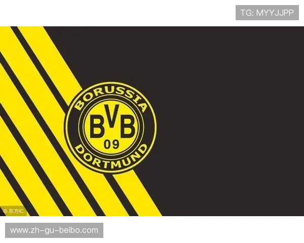 德甲最富裕球队资产与营收情况盘点