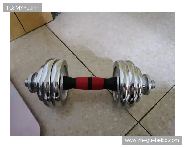 男士常用健身器材推荐与训练搭配 男士常用健身器材推荐与训练搭配